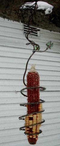 squirrel
                feeder with snow