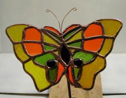 butterfly
                LGorange